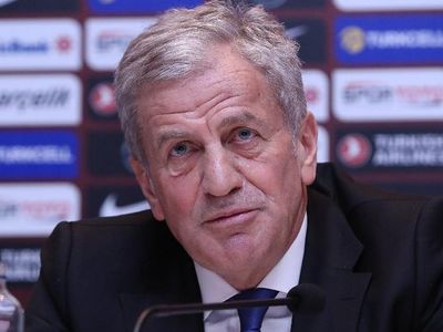 TFF Başkan Vekili Servet Yardımcı'dan Milli Takım Açıklaması!