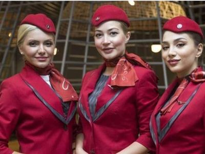 THY 1000 kabin memuru alımı şartları neler? THY kabin memuru alımı başvuru adresi ve şartları