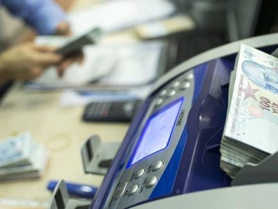 TL mevduat faizleri 20 yılın zirvesinde: 500 bin lira yatıran servet kazanacak