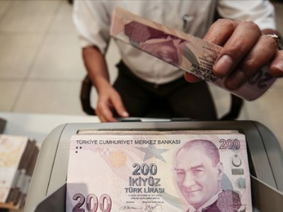 TL Mevduat oranı rekor seviyeye ulaştı