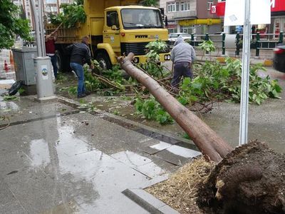Tokat’ta Etkili Olan Rüzgar Etrafı Birbirine Kattı
