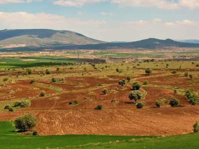 TOKİ detayları açıkladı: 50 ilde 575 arsa satılacak