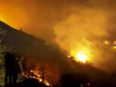 Trabzon’da korkutan orman yangını: Çok sayıda ekip bölgeye sevk edildi