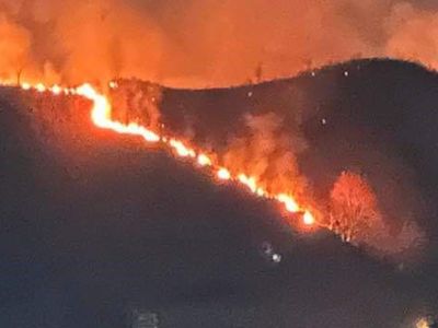 Trabzon'da korkutan yangın! 10 dönümlük alan alev aldı