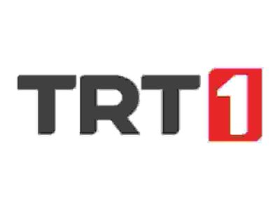 TRT 1 Türksat frekans ayarları 2022 - TRT 1 Digitürk, D-Smart, Tivibu ve KabloTV'de kaçıncı kanalda?