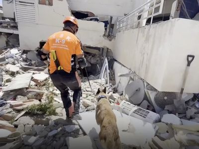 TSK ve AFAD Venezuela'da enkaz başında: Türk milletinin yardım eli mesafeleri aştı