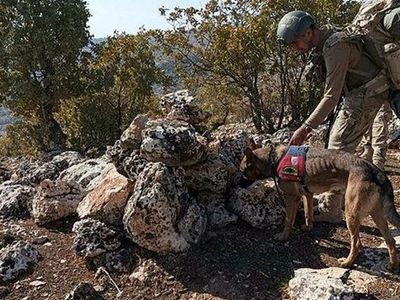 Tunceli'de Binlerce Personelin Katıldığı Eren Kış-6 Operasyonu Başladı