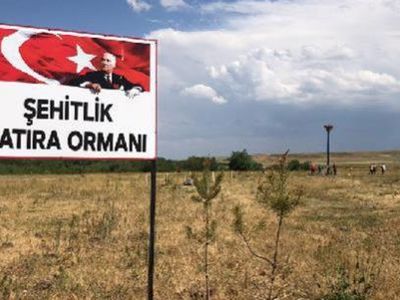 Turistin Sözlerine Üzüldü Köyüne Orman Kurdu
