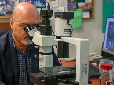 Türk bilim insanlarından heyecanlandıran keşif: Yeni bir canlı türü bulundu