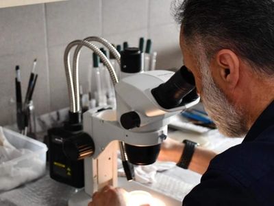 Türk bilim insanlarından tarihi keşif: Dünya literatürüne geçti