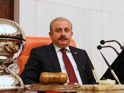 Türkiye Büyük Millet Meclisi Başkanı Mustafa Şentop'tan,  polis memuruna yumruk atmasıyla ilgili sert tepki! 'Çok çirkin bir hareket, bir haddini bilmezlik!'