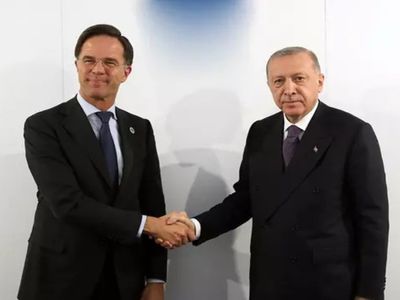Türkiye-Hollanda diplomatik ilişkileri gündemde! Erdoğan ve Rutte görüşmesi önem taşıyor