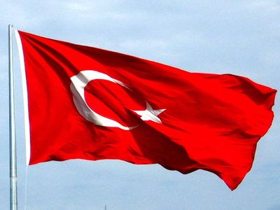 Türkiye için dikkat çeken yorum: Bölgesel değil uluslararası süper bir güç