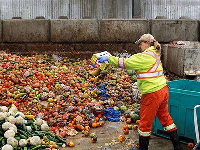 Türkiye Yıllık 18.8 Milyon Ton Gıdayı Çöpe Atıyor