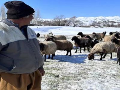 Türkiye’de bulamayınca İran’dan getirdiler: Maaş 40 bin TL!