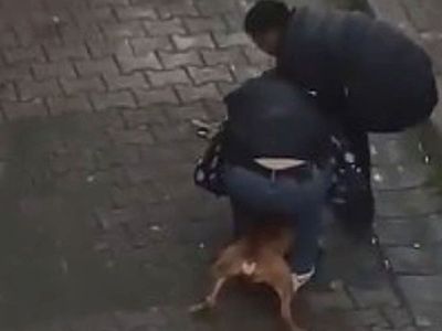 Türkiye'de köpek saldırıları bitmiyor! İstanbul'da ısırılan vatandaş pitbull cinsi köpekten zor kurtuldu