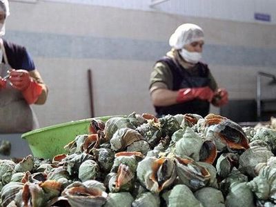 Türkiye'de Üretilip, Tüm Dünyaya Satılıyor