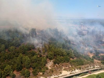 Türkiye’nin ciğerleri yanıyor: Yangınlar dört bir yanı sardı