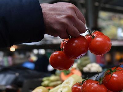Türkiye’ye ihracat müjdesi: Rusya domates ithalat kotasını artırdı