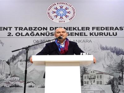 Türkiye'ye kaç Ukraynalı sığınmacı geldi? İçişleri Bakanlığı Türkiye'ye gelen Ukraynalı sığınmacı sayısını açıkladı