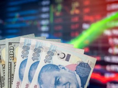 Ünlü ekonomistten dikkat çeken TL açıklaması: Doların esas değeri 21 lira