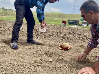 Ürdün'de Kavurucu Sıcaklar Nedeniyle Mahsuller Zarara Uğradı