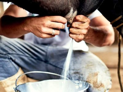 USK yeni fiyatı açıkladı: Süt fiyatına zam geldi