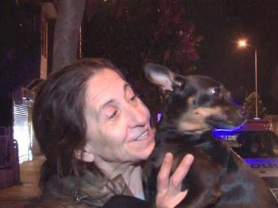 Üsküdar’da Çıkan Yangında Uyuyakalan Kadını, Kahraman Köpeği Kurtardı!