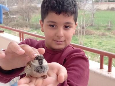 Üşüyen Serçe Kuş, Ömer’in Minik Avuçlarında Isındı