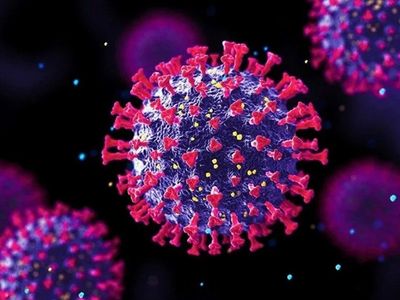Uzman İsim Omicron’un Müjde Gibi Algılanma Nedenini Açıkladı