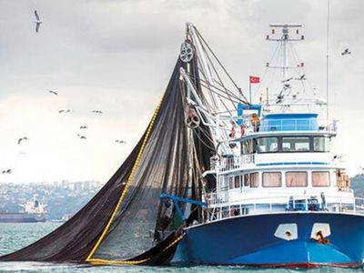 Uzmanlar ‘Av Sezonu Ertelenmeli mi’ Tartışmasına Cevap Verdi