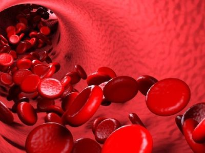 Uzmanlardan dikkat çeken uyarı: O besinler kan pıhtılaşmasına sebep oluyor
