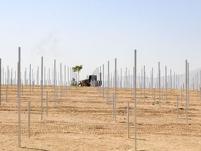 Van'da 38,5 Megavat Kapasiteli Güneş Enerjisi Santrali Hayata Geçiyor