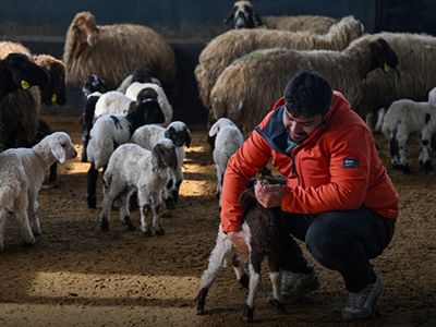 Van’da Genç Girişimciye “Sürü” Desteği Verildi