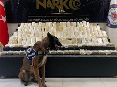Van'da Kamyonun Yakıt Deposunda Uyuşturucu Bulundu