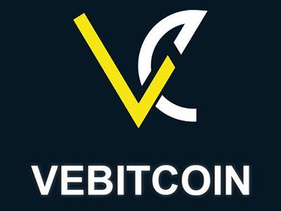 Vebitcoin CEO’su Gözaltına Alındı