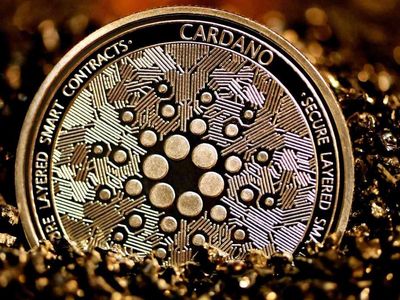 WNDR coin nedir? Wonderman Nation coin projesi ve yol haritası