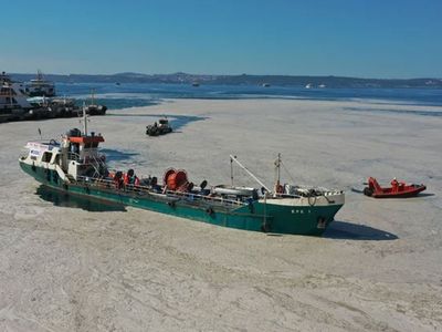 Yalova Kıyılarından 412 Metreküp Deniz Salyası Toplandı