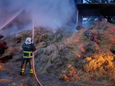 Yalova’da korkutan yangın: Hangarda maddi hasar meydana geldi