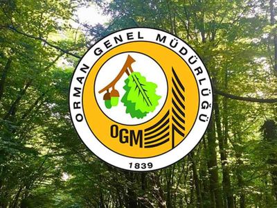 Yangın felaketine karşı acı önlem: 27 ilde ormanlara giriş yasaklandı!