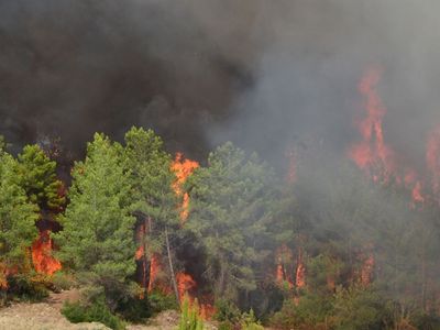 Yangın Söndürme Toplarının Fiyatı Bir Haftada 200 TL Birden Arttı