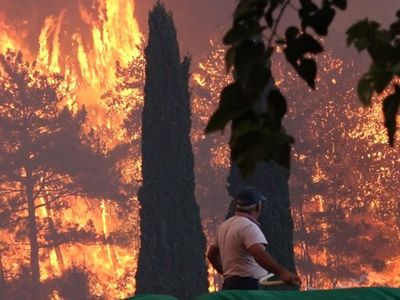 Yangınlarla İlgili Sıcak Gelişmeyi Tarım ve Orman Bakanı Paylaştı! Bir Acı Haber Daha Verildi