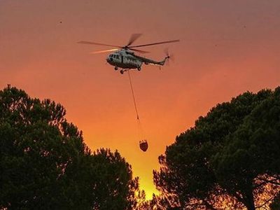 Yangınlarla Mücadele Son Hızıyla Devam Ediyor! 74 Yangın Kontrol Altına Alındı