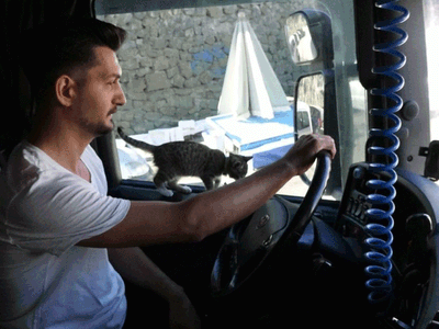 Yanına Aldığı Yavru Kediyle Birlikte 50 Bin Kilometre Yol Yapan Tır Şoförü: ‘O Benim Yol Arkadaşım’