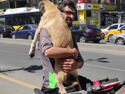 Yaralı Köpeği Bisikletle 5 Kilometre Boyu Taşıdı