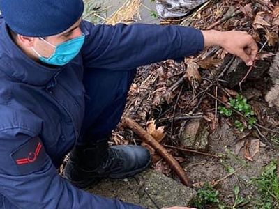 Yavru Köpeğin İmdadına Jandarma Ekipleri Yetişti