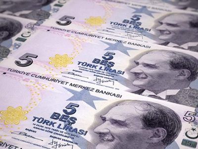 Yeni 5 TL'lik banknotlar nasıl olacak? Yeni 5 TL banknot resmi