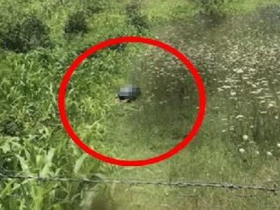 Yeni Yasayla İlk Kez O Yargılanacak! Tarlada Yaptıkları Kan Dondurmuştu
