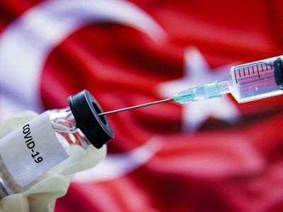 Yerli Aşı Raporu Umut Vadediyor