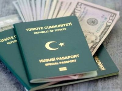 Yeşil pasaport nedir, kimler alabilir? Yeşil pasaport için kaç yıl çalışmak gerekir?